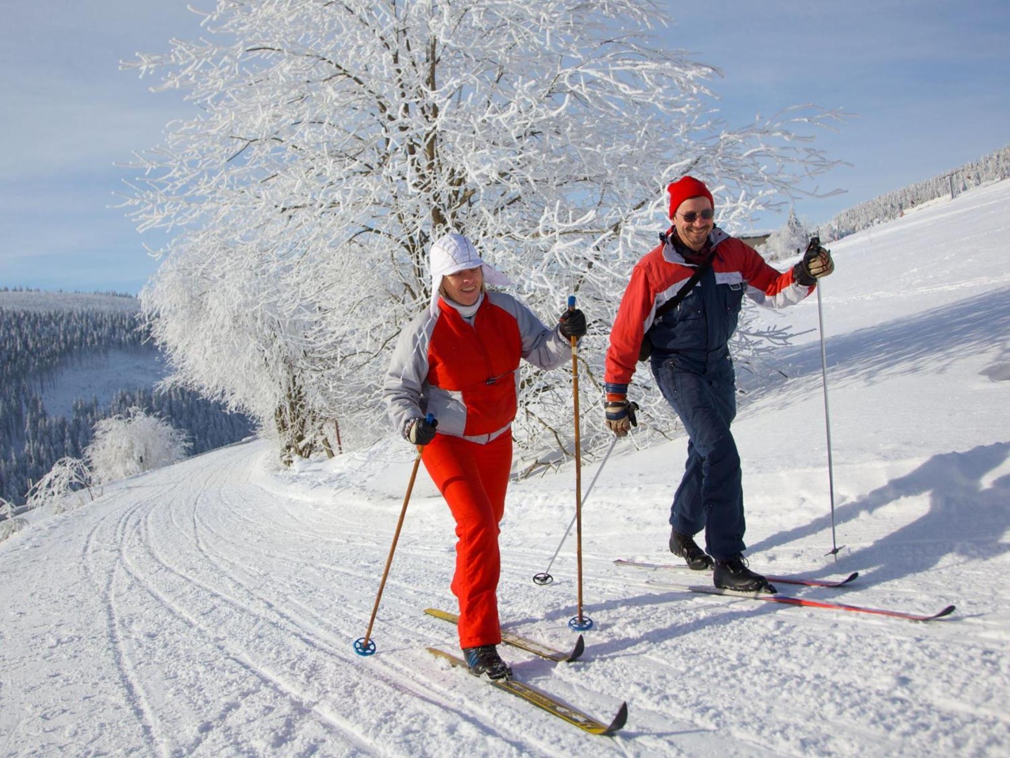 Ahorn Am Fichtelberg Oberwiesenthal