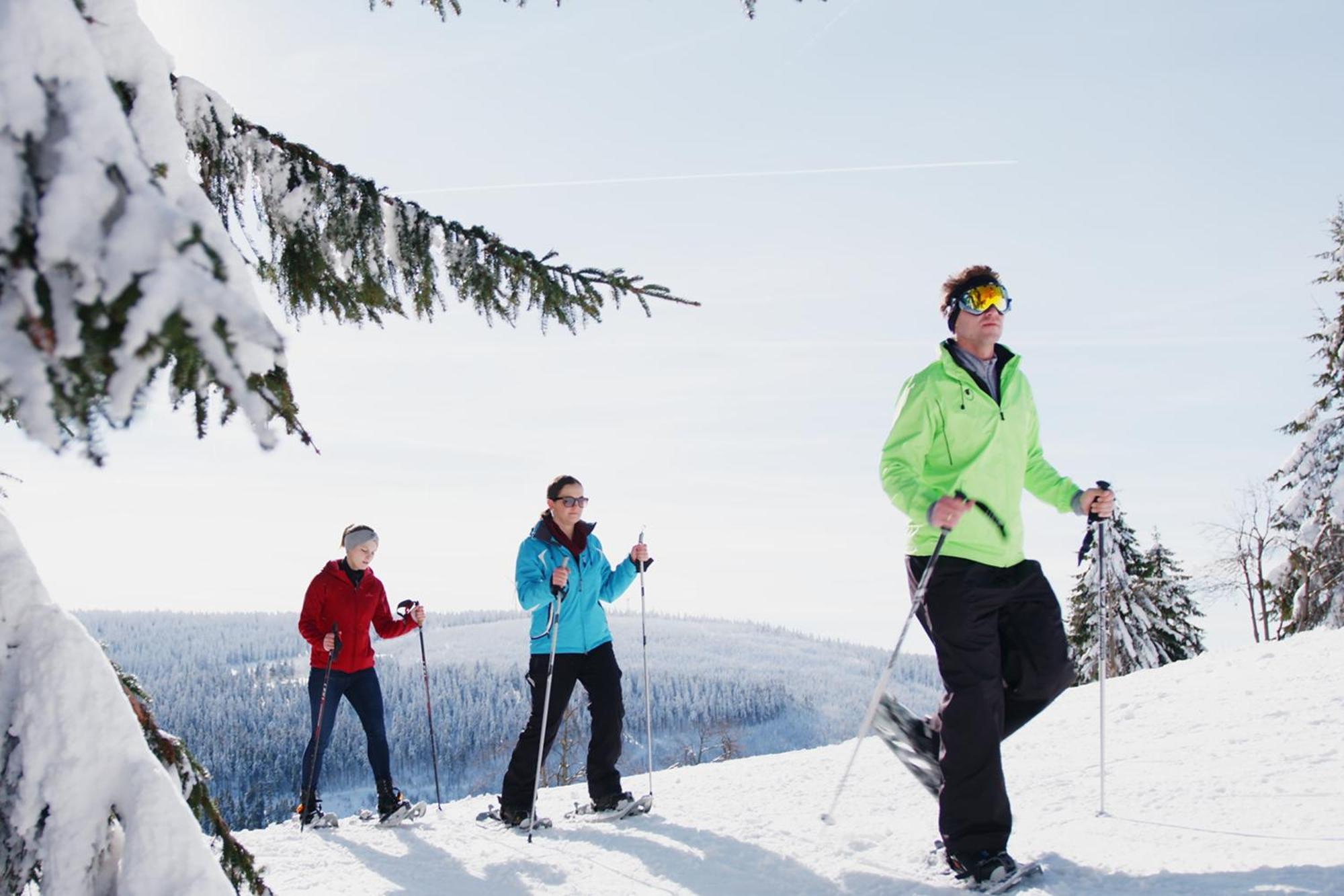 Ahorn Am Fichtelberg Hotel 3*